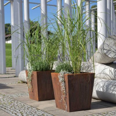 Pflanzkübel Fragola