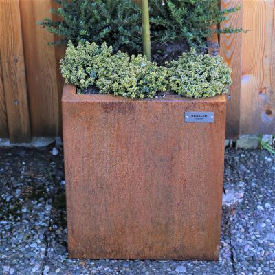 Pflanzkübel Mariengras